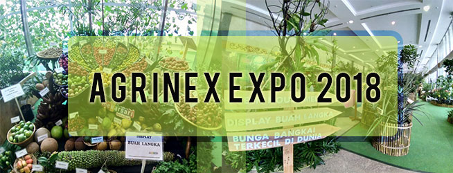 sikumis expo agrinex 2018