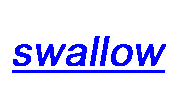 Swallow