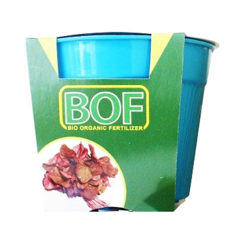 GROW KIT BOF - (Bayam Merah/ Red Spinach)