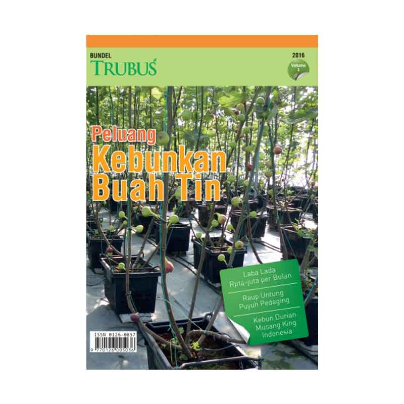 Bundel Peluang Kebunkan Buah Tin (2016 Vol. 1)