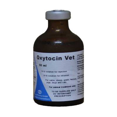 Oxytocin Vet