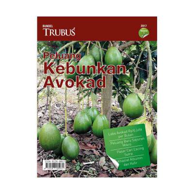 Bundel Peluang Kebunkan Avokad (2017 Vol. 1)