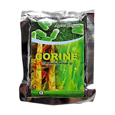 CORINE 100 Gram