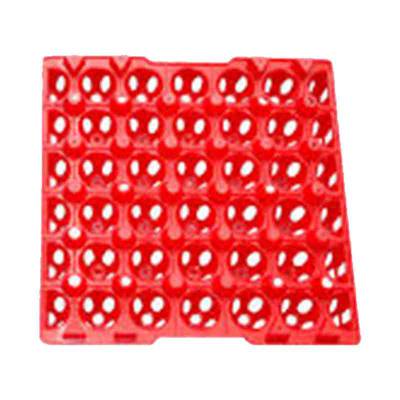 Egg Tray Plastik - Big (ETPB)