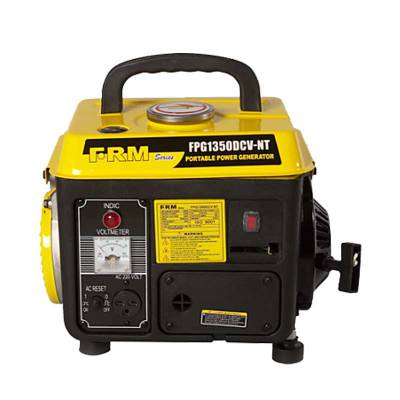 FIRMAN Generator Gasoline FPG1350DCV