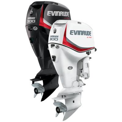 Motor Tempel Evinrude G1 E300DCZ