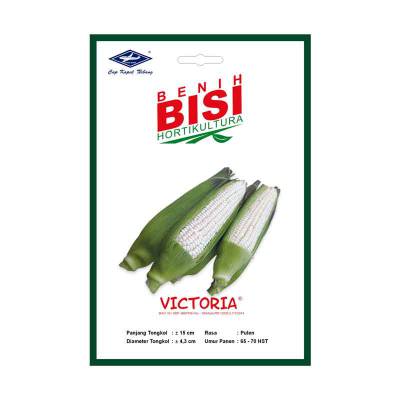 Benih Jagung Pulut Hibrida F1 VICTORIA (BISI)