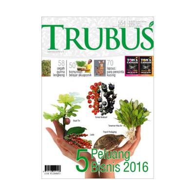 Majalah 5 Peluang Bisnis 2016 (Januari 2016)