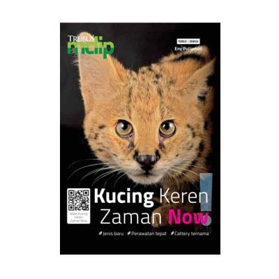 Buku Kucing Zaman Now