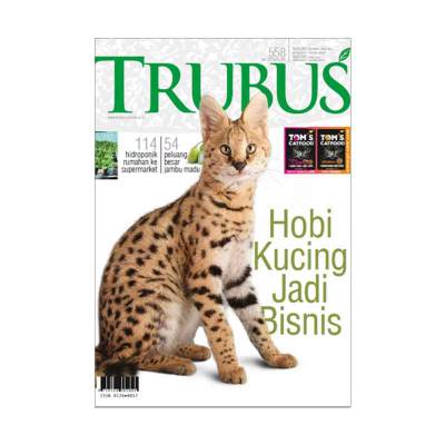 Majalah Berhobi Kucing Jadi Bisnis (Mei 2016)