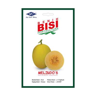 Benih Melon MELINDO-6 BISI