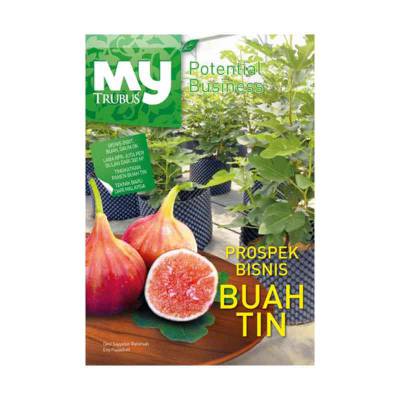 Buku Prospek Bisnis Buah Tin