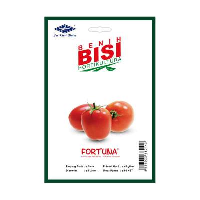 Benih Tomat Fortuna F1 (BISI)