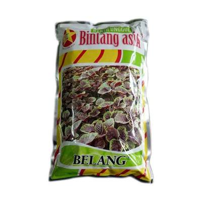 Benih Bayam Belang (Medium)