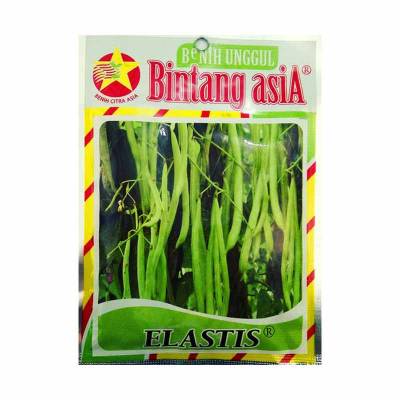 Benih Buncis Elastis (Medium)