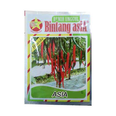 Benih Cabe Besar Asia Large