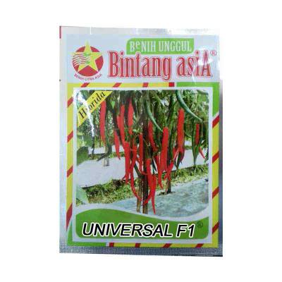 Benih Cabe Besar Universal F1 Small Pouch
