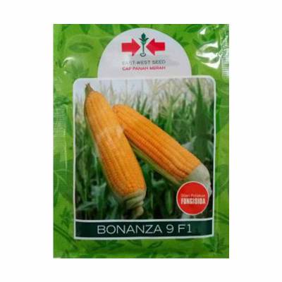 Benih Jagung BONANZA 9 F1 (Regular)