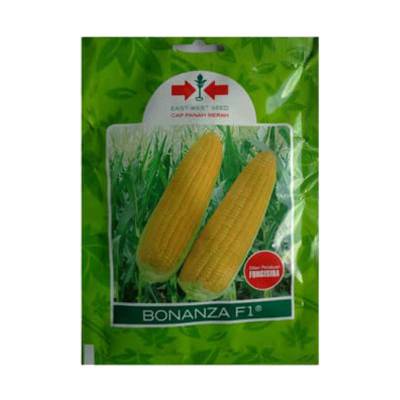 Benih Jagung Manis Bonanza F1 (Small Pouch)