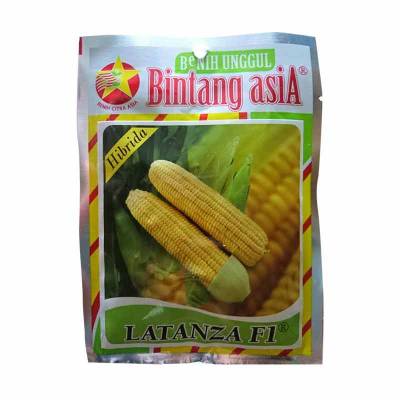 Benih Jagung Manis Latanza F1 (Regular)