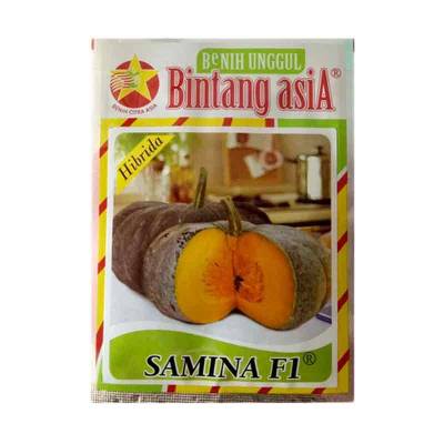 Benih Labu Samina (Medium)