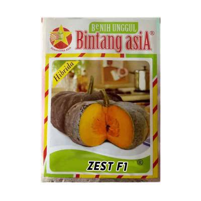 Benih Labu Zest F1 Small Pouch