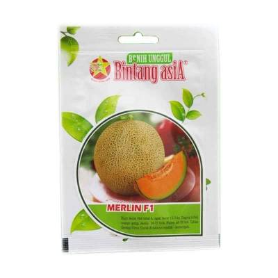 Benih Buah Melon Merlin F1 (Regular)