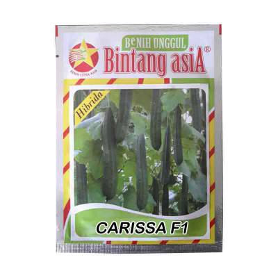 Benih Oyong Carissa F1 