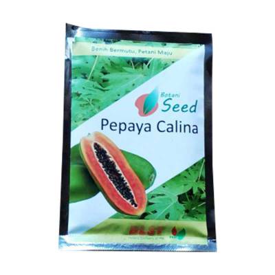 Benih Pepaya Callina (30 Butir)