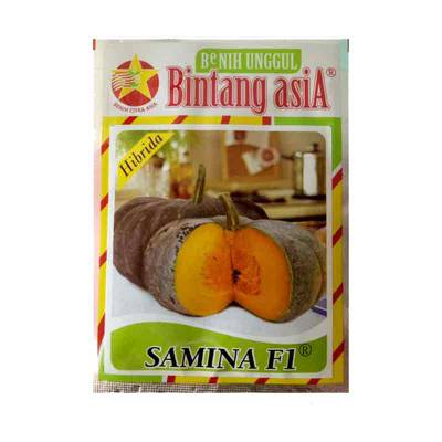 Benih Labu Samina F1 (Regular)