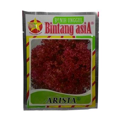 Benih Selada Arista  (Regular)