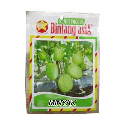 Bibit Terong Minyak (Regular)