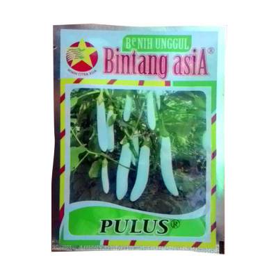 Benih Terong Putih Pulus (Small Pouch)