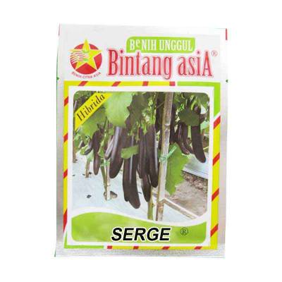 Benih Terong Serge Large