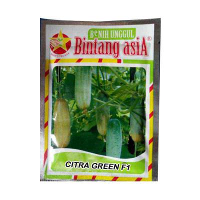 Benih Mentimun Citra Green F1 Medium