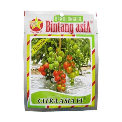 Benih Tomat Citra Asia F1 (Small Pouch)