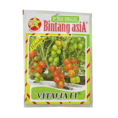 Benih Tomat Vitalia F1 (Regular)