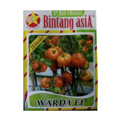 Benih Tomat Warda F1 (Small Pouch)