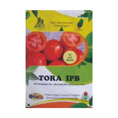 Benih Tomat Tora IPB