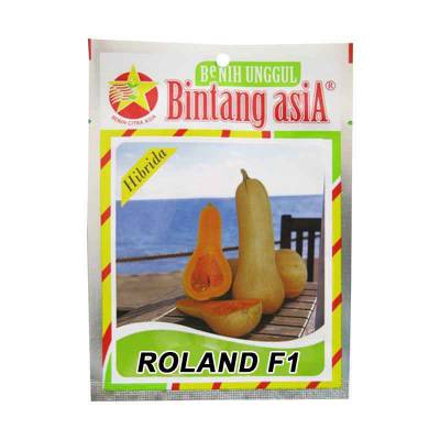 Bibit Waluh Roland F1 (Large)