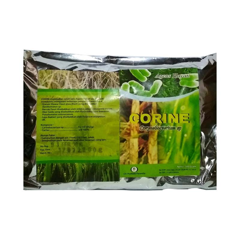 CORINE 1 Kg/ 25 Pcs