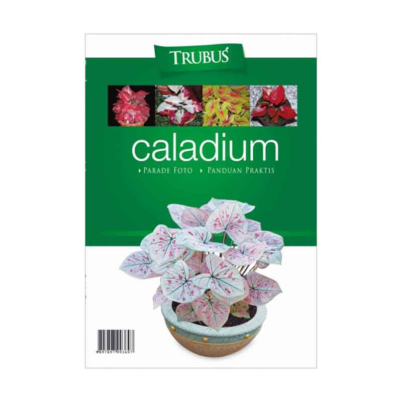 Buku Caladium Spesial