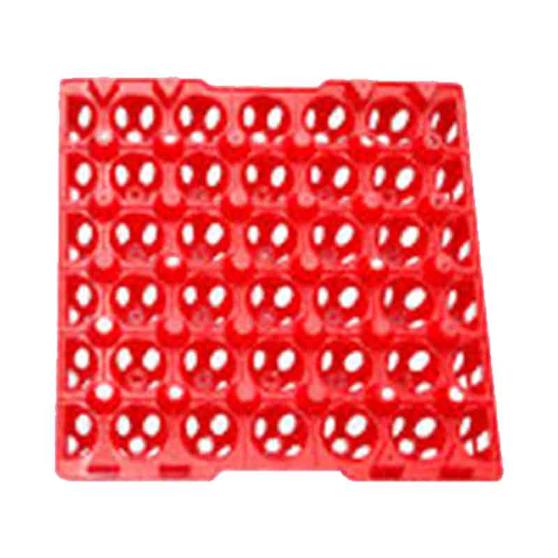 Egg Tray Plastik - Big (ETPB)