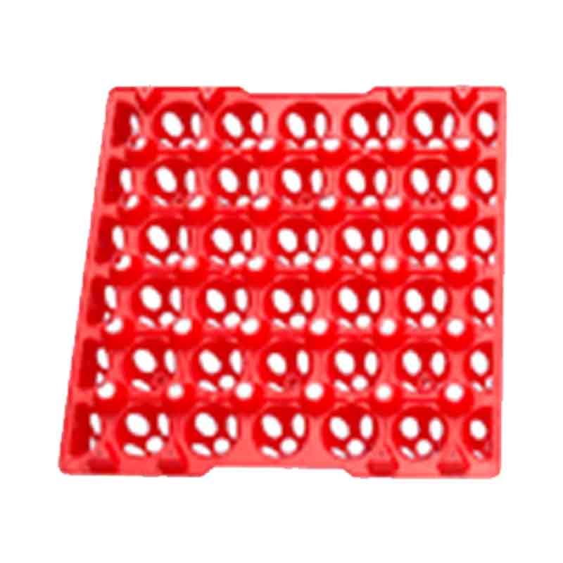 Egg Tray Plastik - Small (ETP)