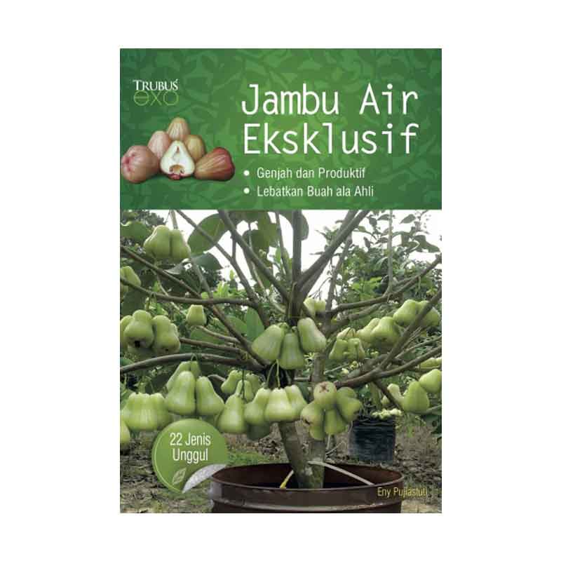 Buku Jambu Air Eksklusif