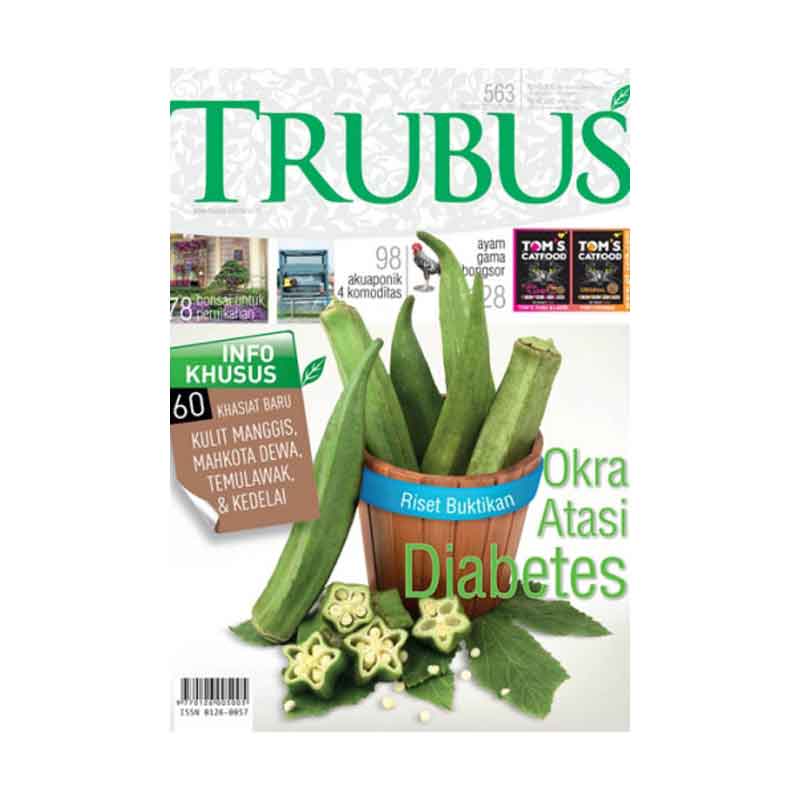 Majalah Okra Atasi Diabetes (Oktober 2016)