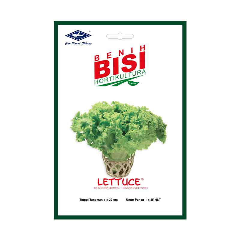 Benih Selada Lettuce (BISI)