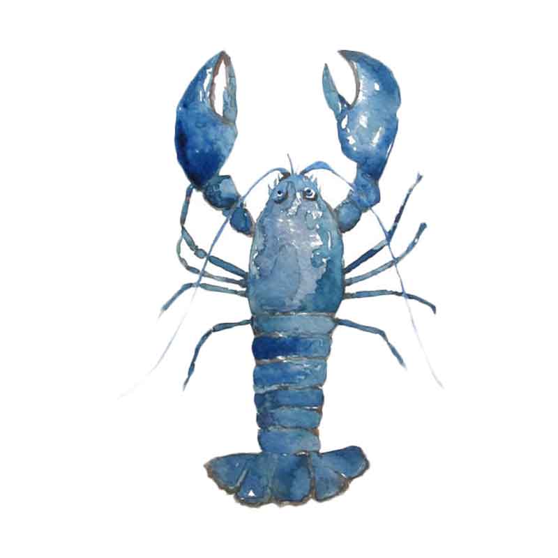 Harga lobster biru