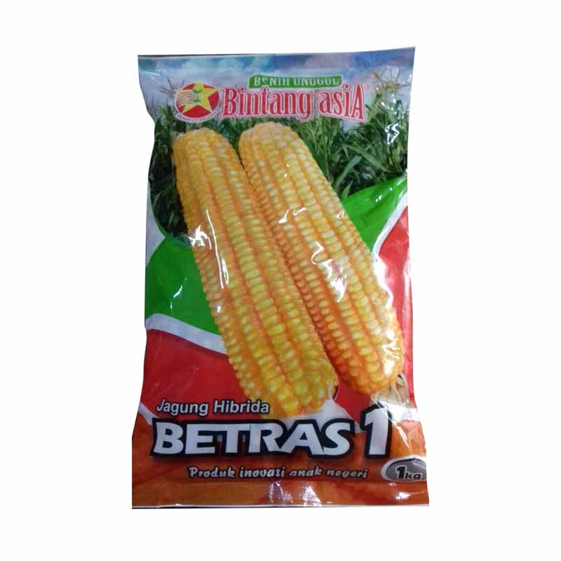 Benih Jagung Hibrida Betras 1