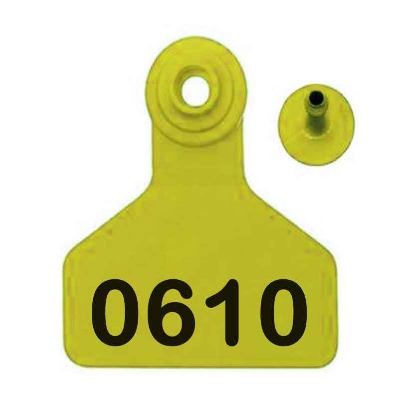 Medium Eartag Number